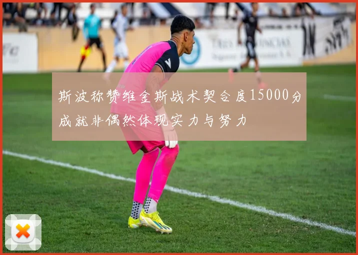 斯波称赞维金斯战术契合度15000分成就非偶然体现实力与努力